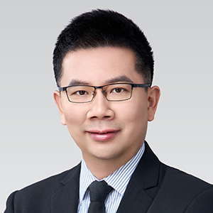 Prof Jing WUFellow