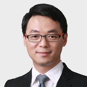Prof Hong ZHANGSenior Fellow
