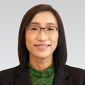 Prof Jun YANGSenior Fellow