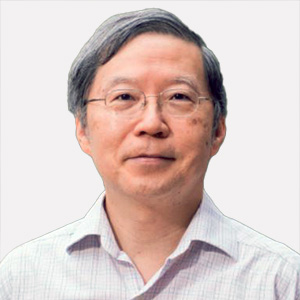 Prof Ping WANGSenior Fellow